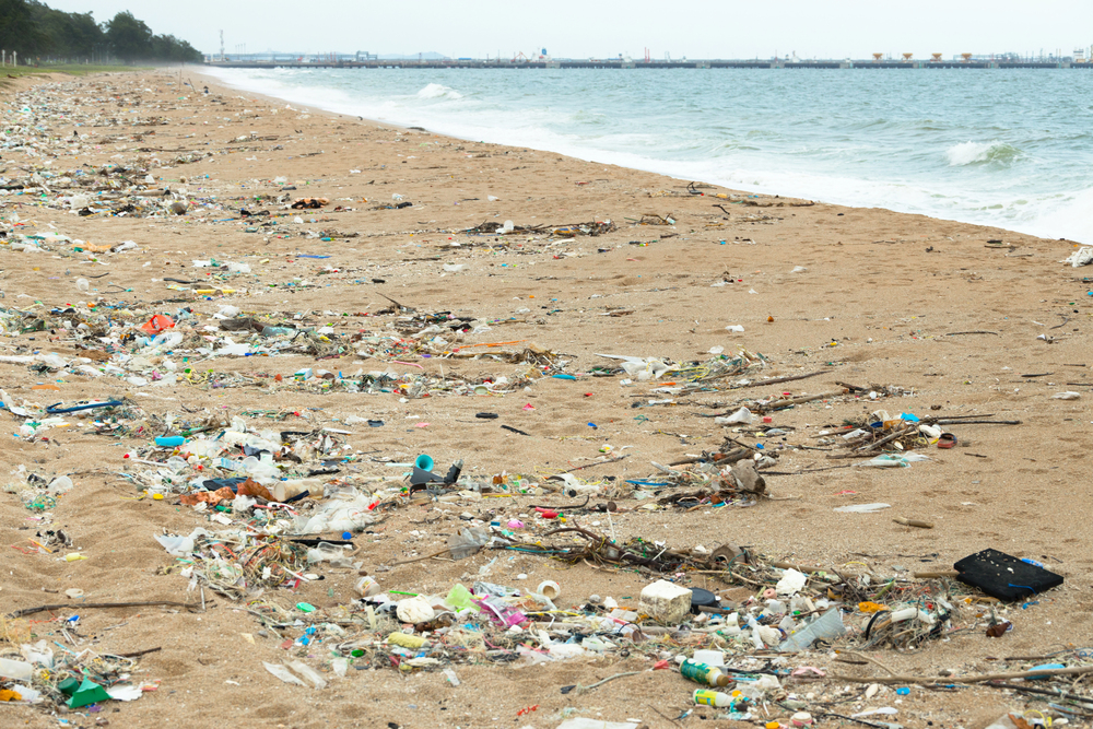 Pollution plastique sur une plage